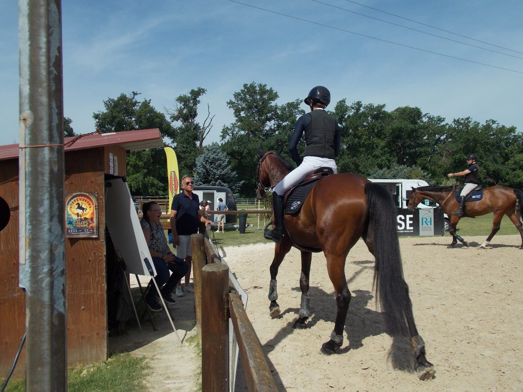 Suivi des cavaliers- accompagnement des cavaliers et chevaux en concours-préparation sportive